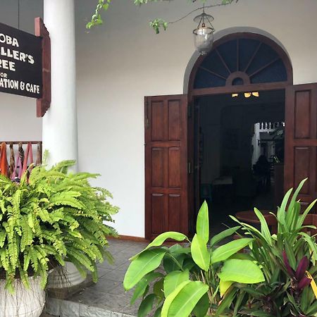 Shoba Traveller'S Tree Homes Stay Galle Bagian luar foto