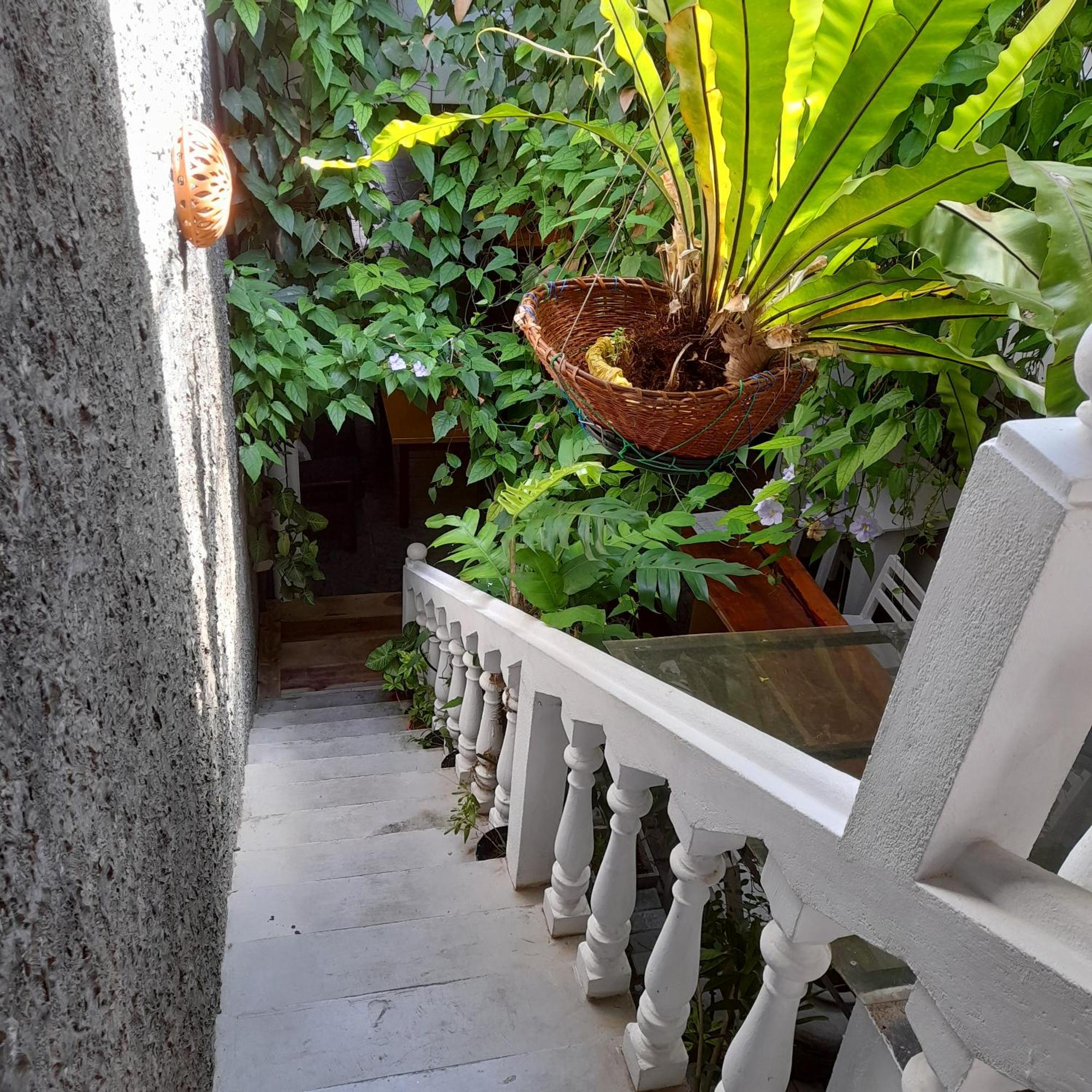 Shoba Traveller'S Tree Homes Stay Galle Bagian luar foto