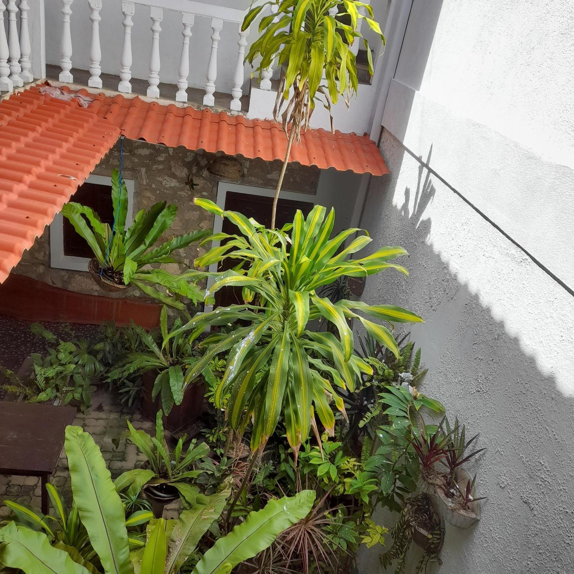 Shoba Traveller'S Tree Homes Stay Galle Bagian luar foto