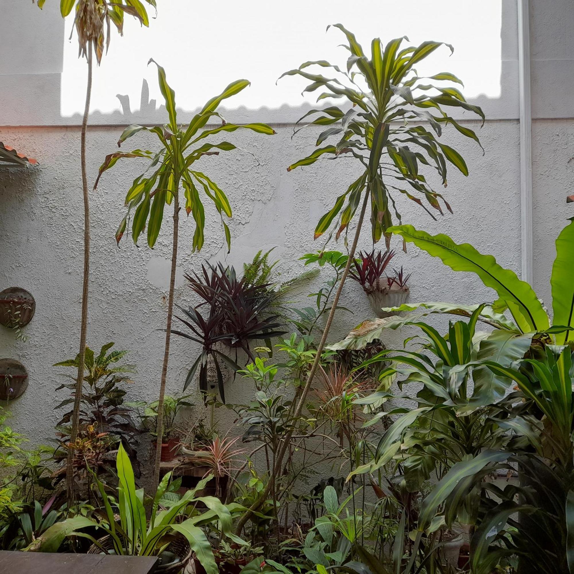 Shoba Traveller'S Tree Homes Stay Galle Bagian luar foto