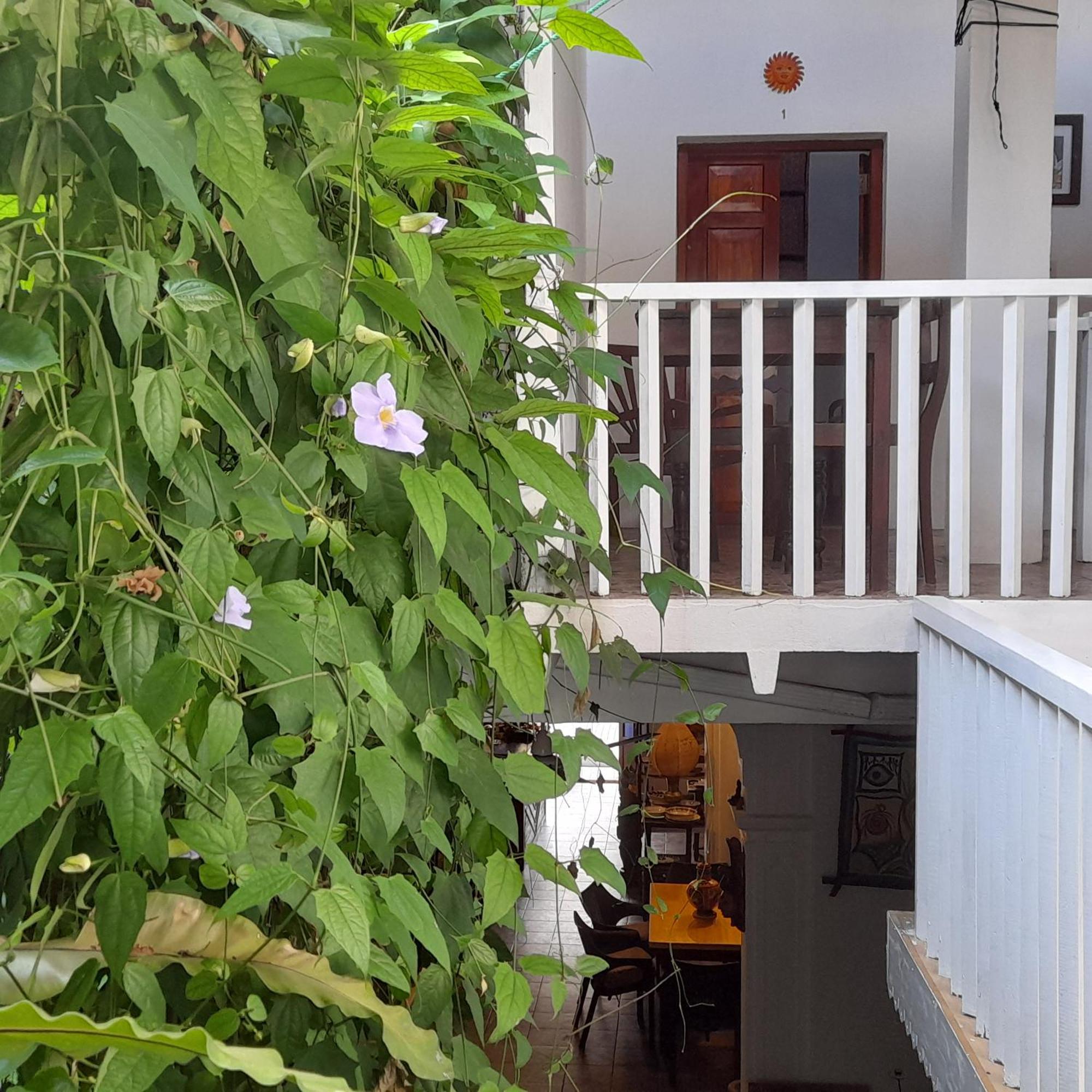 Shoba Traveller'S Tree Homes Stay Galle Bagian luar foto