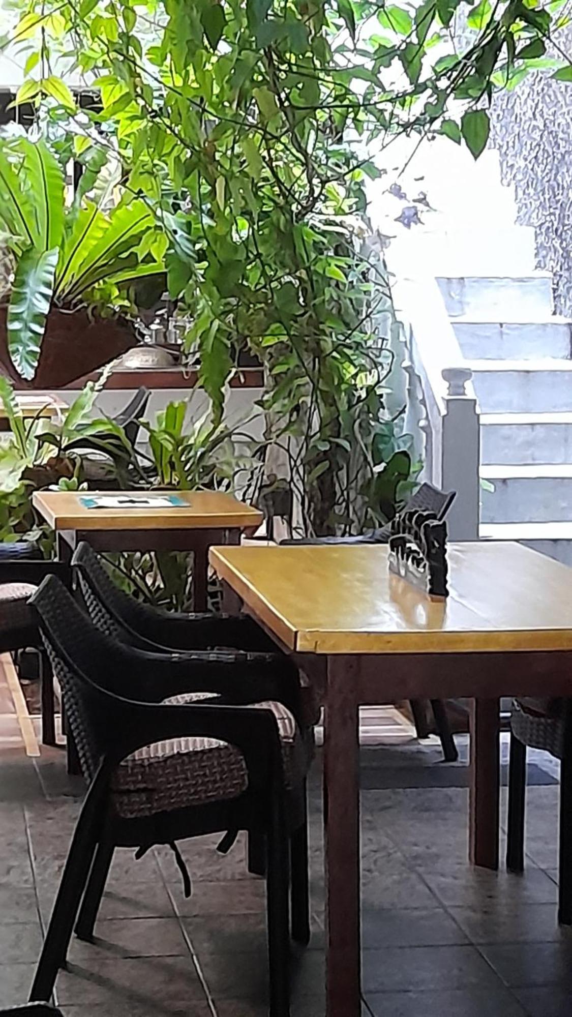 Shoba Traveller'S Tree Homes Stay Galle Bagian luar foto